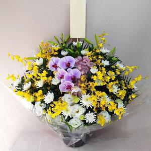 ԁE䋟AWg@r-arem062@zISz\őInłȂGA͓oׂőzɂđΉ܂B󂯎̏oȂV֏͂ւ͂xXg