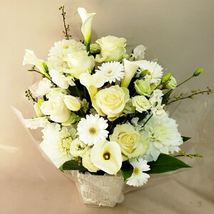 ԁE䋟AWg@r-arem061@zISz\őInłȂGA͓oׂőzɂđΉ܂B󂯎̏oȂV֏͂ւ͂xXg