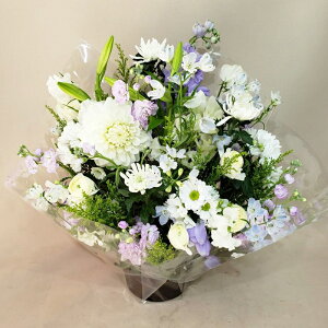 ԁE䋟AWg@r-arem070@zISz\őInłȂGA͓oׂőzɂđΉ܂B󂯎̏oȂV֏͂ւ͂xXg