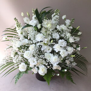 ԁE䋟AWg@r-arem060@zISz\őInłȂGA͓oׂőzɂđΉ܂B󂯎̏oȂV֏͂ւ͂xXg