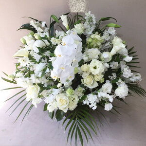 ԁE䋟AWg@r-arem059@zISz\őInłȂGA͓oׂőzɂđΉ܂B󂯎̏oȂV֏͂ւ͂xXg