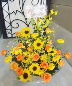�S���z���\�I�@�A�����W�����g�@ar-910�@�C�G���[���I�����W�n�@��j�E�J�X�E�a�����E����E�V���[���[���E���f�����[���Ȃǂ̌�j���ɁI��15���܂ł̂������œ����z���o����G���A��