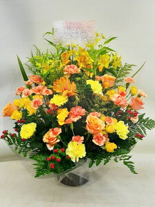 Sz\I@CG[IWn@AWg@rtar007@jEJXEaEEV[[Ef[Ȃǂ̌jɁI15܂ł̂œzoGA