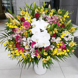 Sz\I@Ӓ~bNXn@AWg@rtar040@jEJXEaEEV[[Ef[Ȃǂ̌jɁI15܂ł̂œzoGA