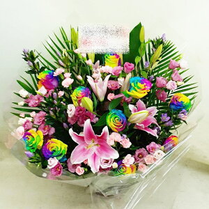 Sz\I@C{[[Y܂@AWg@rtar047@jEJXEaEEV[[Ef[Ȃǂ̌jɁI15܂ł̂œzoG