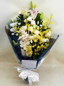 䋟ԑ@@am~bNX@r-mhanataba-001@zISz\őInłȂGA͓oׂőzɂđΉ܂B󂯎̏oȂV֏͂ւ