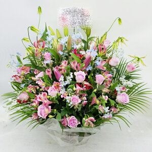 SΉ\@ybĝ݉ԁ@pet87002@AWg