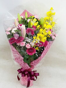 SΉ\@ybĝ݉ԁ@pet87037@ԑ