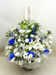 SΉ\@ybĝ݉ԁ@pet87021@AWg