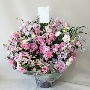 Sz\I@sNn@AWg@rtare-n317@15܂ł̂œzoGA܂B܂}ւŗ͂\ł