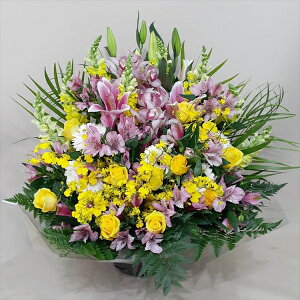 Sz\I@sNCG[n@AWg@rtare-n087@15܂ł̂œzoGA܂B܂}ւŗ͂\ł