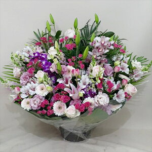 Sz\I@sNzCgn@AWg@rtare-n063@15܂ł̂œzoGA܂B܂}ւŗ͂\ł