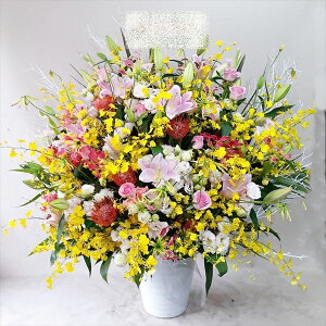 Sz\I@픫@C@AWg@rtare-n984@15܂ł̂œzoGA܂B܂}ւŗ͂\ł