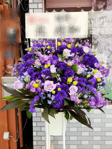 RT-ST1-0116@I[p[vn@X^h1i@jEJXEaEEV[[Ef[Ȃǂ̌jɁISz\I15܂ł̂œzoGA