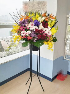 RT-ST1-0115@style-epic@mixys@X^h1i@jEJXEaEEV[[Ef[Ȃǂ̌jɁISz\I15܂ł̂œzoGA܂B