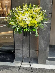 RT-ST1-0114@style-epic@white&green@X^h1i@jEJXEaEEV[[Ef[Ȃǂ̌jɁISz\I15܂ł̂œzoGA