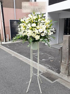 RT-ST1-0113@zCgn@X^h1i@jEJXEaEEV[[Ef[Ȃǂ̌jɁISz\I15܂ł̂œzoGA܂Bi