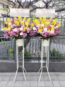 RT-ST1-0112@17600~2ZbgIFႢ܂@X^h1i@jEJXEaEEV[[Ef[Ȃǂ̌jɁISz\I15܂ł̂œzo