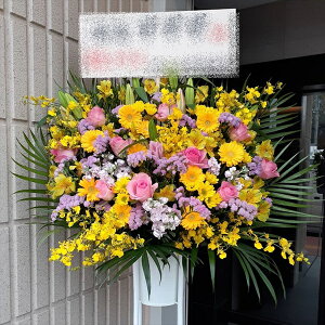 RT-ST1-0110@CG[sNn@X^h1i@jEJXEaEEV[[Ef[Ȃǂ̌jɁISz\I15܂ł̂œzoGA