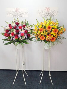 RT-ST1-0111@13000~2ZbgIFႢ܂@X^h1i@jEJXEaEEV[[Ef[Ȃǂ̌jɁIIGA聦15܂ł̂œzo