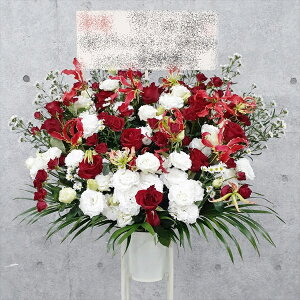 RT-ST1-0109@zCgbhn@X^h1i@jEJXEaEEV[[Ef[Ȃǂ̌jɁISz\I15܂ł̂œzoGA