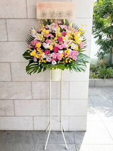 RT-ST1-9999@N25000{@Ԃ̃vɂ܂X^h1i@jEJXEaEEV[[Ef[Ȃǂ̌jɁISz\I15܂ł̂œzo