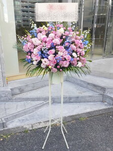 RT-ST1-0060@sNnCu[ā@X^h1i@jEJXEaEEV[[Ef[Ȃǂ̌jɁISz\I15܂ł̂œzo