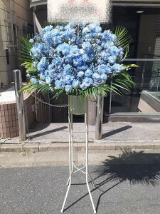 RT-ST1-0059@Fn@X^h1i@jEJXEaEEV[[Ef[Ȃǂ̌jɁISz\I15܂ł̂œzoGA܂Biꕔ