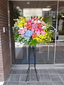 RT-ST1-0058@style-epic@mix@X^h1i@jEJXEaEEV[[Ef[Ȃǂ̌jɁISz\I15܂ł̂œzoGA܂Bi