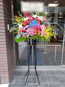 RT-ST1-0057@style-epic@mix@X^h1i@jEJXEaEEV[[Ef[Ȃǂ̌jɁISz\I15܂ł̂œzoGA܂Bi