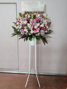 RT-ST1-0107@sNp[vn@X^h1i@jEJXEaEEV[[Ef[Ȃǂ̌jɁISz\I15܂ł̂œzoGA