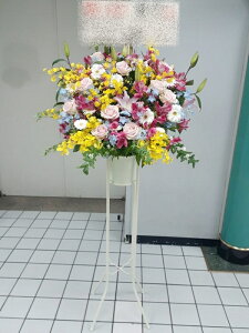 RT-ST1-0104@sNCG[Fn@X^h1i@jEJXEaEEV[[Ef[Ȃǂ̌jɁISz\I15܂ł̂œzoGA