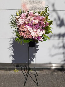 RT-ST1-0101@style-epic@pink@X^h1i@jEJXEaEEV[[Ef[Ȃǂ̌jɁISz\I15܂ł̂œzoGA܂Bi