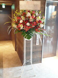 RT-ST1-0100@bhzCgn@X^h1i@jEJXEaEEV[[Ef[Ȃǂ̌jɁISz\I15܂ł̂œzoGA