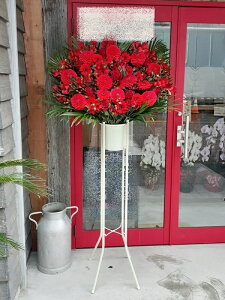 RT-ST1-0099@bhn@X^h1i@jEJXEaEEV[[Ef[Ȃǂ̌jɁISz\I15܂ł̂œzoGA܂Bi