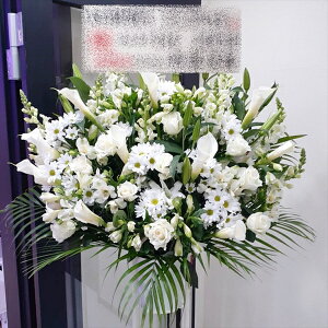 RT-ST1-0098@zCgn@X^h1i@jEJXEaEEV[[Ef[Ȃǂ̌jɁISz\I15܂ł̂œzoGA܂Bi