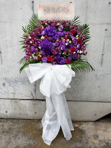 RT-ST1-0094@{tI@I[p[vn@X^h1i@jEJXEaEEV[[Ef[Ȃǂ̌jɁISz\I15܂ł̂œzo