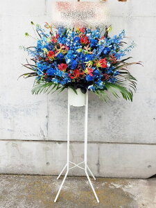 RT-ST1-0093@u[nɏbhnā@X^h1i@jEJXEaEEV[[Ef[Ȃǂ̌jɁISz\I15܂ł̂œzo