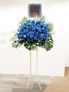 RT-ST1-0092@u[n@X^h1i@jEJXEaEEV[[Ef[Ȃǂ̌jɁISz\I15܂ł̂œzoGA܂Bi