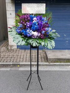 RT-ST1-0090@style-epic@bluepup@X^h1i@jEJXEaEEV[[Ef[Ȃǂ̌jɁISz\I15܂ł̂œzoGA܂B