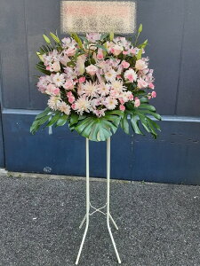 RT-ST1-0088@sNn@X^h1i@jEJXEaEEV[[Ef[Ȃǂ̌jɁISz\I15܂ł̂œzoGA܂Bi