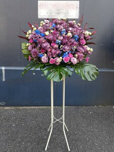 RT-ST1-0087@p[vnCu[nā@X^h1i@jEJXEaEEV[[Ef[Ȃǂ̌jɁISz\I15܂ł̂œz