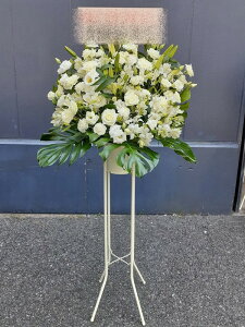 RT-ST1-0086@zCgn@X^h1i@jEJXEaEEV[[Ef[Ȃǂ̌jɁISz\I15܂ł̂œzoGA܂Bi