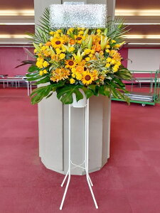 RT-ST1-0084@WOICG[IWn@X^h1i@jEJXEaEEV[[Ef[Ȃǂ̌jɁISz\I15܂ł̂œzo