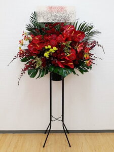 RT-ST1-0065@style-epic@red@X^h1i@jEJXEaEEV[[Ef[Ȃǂ̌jɁISz\I15܂ł̂œzoGA܂Bi