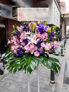 RT-ST1-0083@Zڃp[vsNn@X^h1i@jEJXEaEEV[[Ef[Ȃǂ̌jɁISz\I15܂ł̂œzoGA