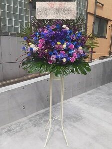 RT-ST1-0082@Zڃu[p[vn@X^h1i@jEJXEaEEV[[Ef[Ȃǂ̌jɁISz\I15܂ł̂œzoGA