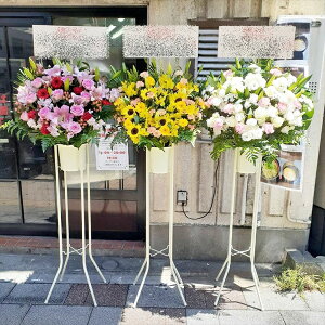 RT-ST1-0081@17600~@܂FႢ3Zbg@X^h1i@jEJXEaEEV[[Ef[Ȃǂ̌jɁISz\I15܂ł̂œzo