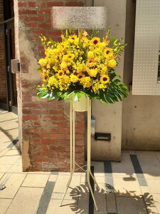 RT-ST1-0079@CG[n@X^h1i@jEJXEaEEV[[Ef[Ȃǂ̌jɁISz\I15܂ł̂œzoGA܂Bi