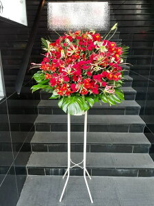 RT-ST1-0096@bhn@X^h1i@jEJXEaEEV[[Ef[Ȃǂ̌jɁISz\I15܂ł̂œzoGA܂Bi